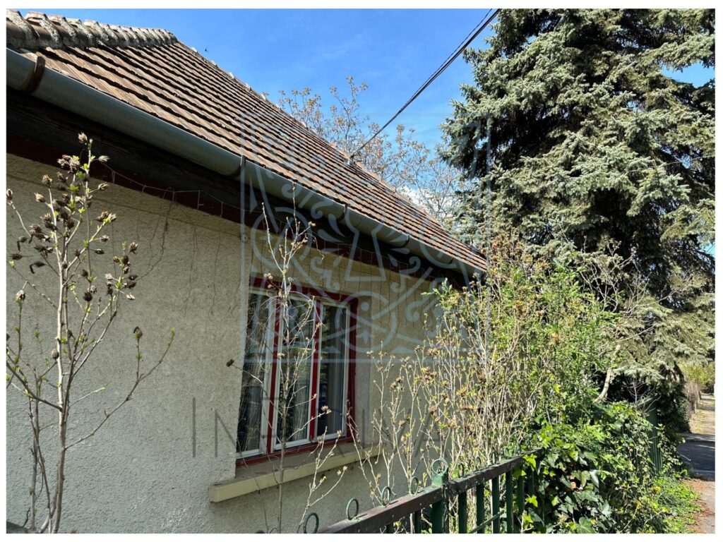 xr:d:dagb8gd 9xy:8,j:1094799067507885978,t:24040919