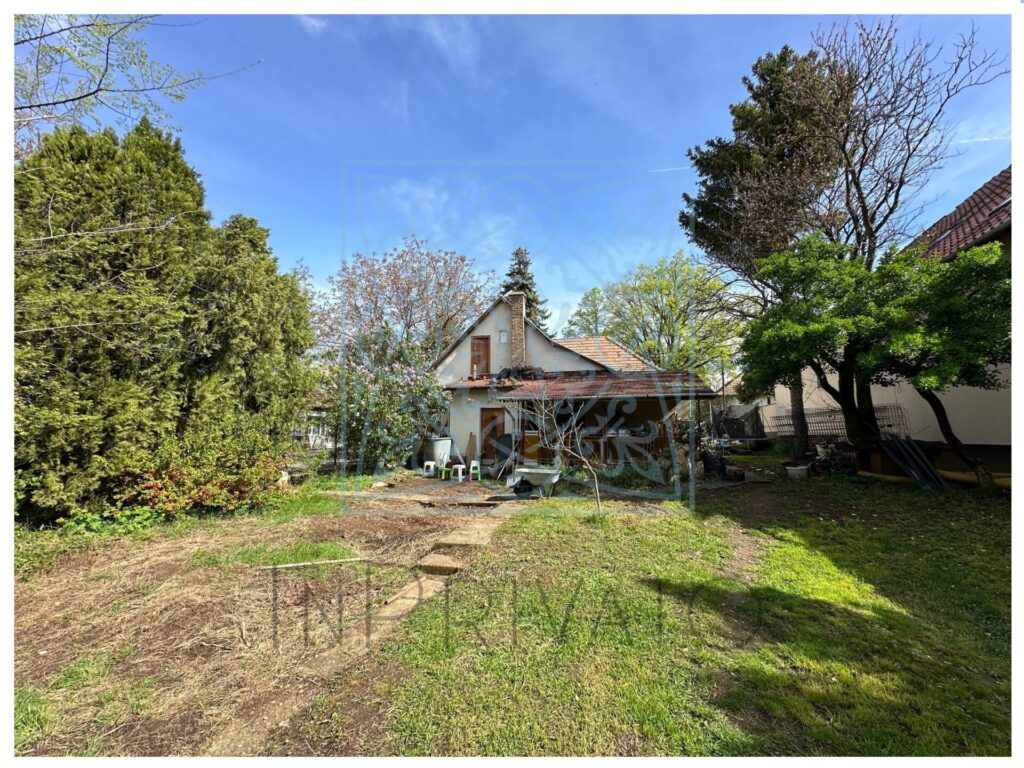 xr:d:dagb8gd 9xy:13,j:6506999962156777608,t:24041005